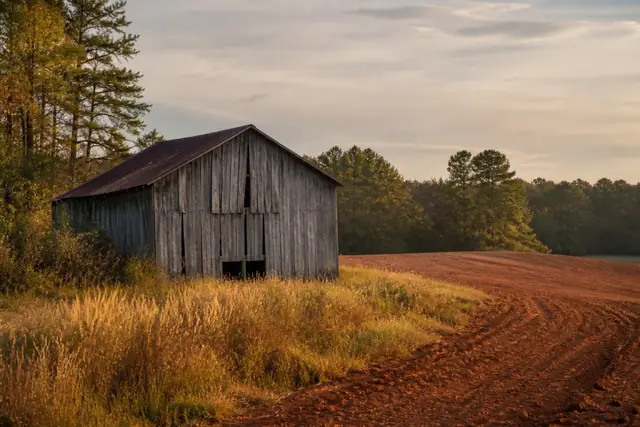 Weathered Piedmont tobacco barn beside an open field and wooded property edge
