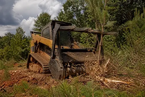 Tracked forestry mulcher reducing dense Piedmont undergrowth beneath mature hardwoods near High Point