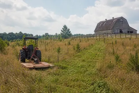 Brushy Piedmont acreage being reclaimed toward open pasture near High Point