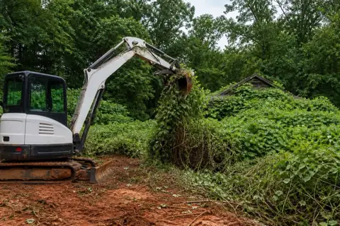 Dense privet and kudzu being opened along a wooded High Point property boundary